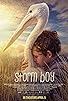Primary photo for A Pelican's Tale: The Making of 'Storm Boy' Primary photo for A Pelican's Tale: The Making of 'Storm Boy'