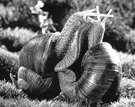 पोस्टर देखें