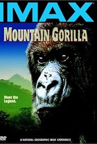 Primary photo for Mountain Gorilla