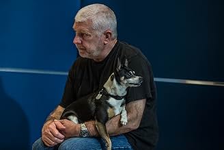 पोस्टर देखें