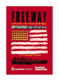 Poster of Freeway: Crack in the System