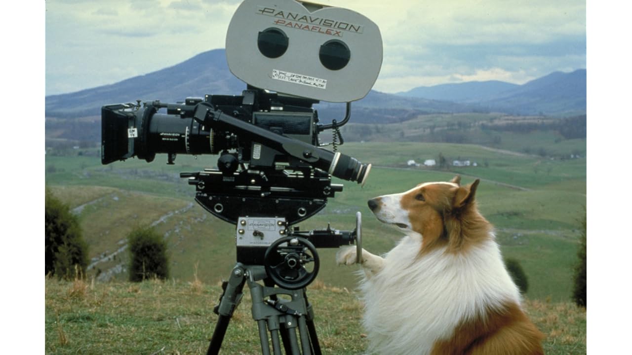 123Movies.!HD Lassie 2005 FULL ONLINE FREE HD