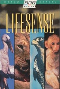 Primary photo for Lifesense: Our Lives Through Animal Eyes