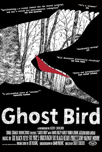 Primary photo for Ghost Bird Primary photo for Ghost Bird