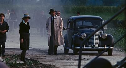 पोस्टर देखें