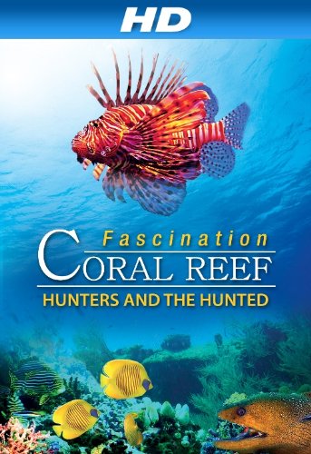 Fascination Coral Reef 3D: Hunters & the Hunted (2012)