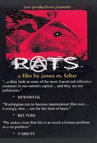 Primary photo for Rats