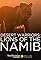 Desert Warriors: Lions of the Namib's primary photo