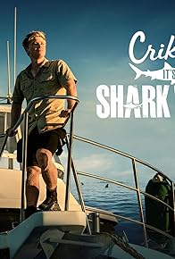 Primary photo for Crikey! It's Shark Week Primary photo for Crikey! It's Shark Week