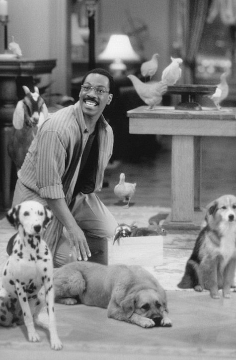 Eddie Murphy and Phyllis Katz in Doctor Dolittle (1998)