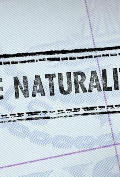 Primary photo for The Naturalized Primary photo for The Naturalized