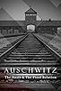 Primary photo for Auschwitz: Inside the Nazi State Primary photo for Auschwitz: Inside the Nazi State