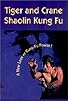 Primary photo for Tiger and Crane Shaolin Kung Fu Primary photo for Tiger and Crane Shaolin Kung Fu