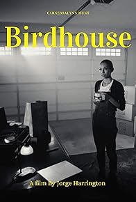 Primary photo for Birdhouse Primary photo for Birdhouse