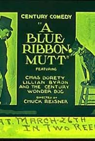 Primary photo for A Blue Ribbon Mutt Primary photo for A Blue Ribbon Mutt