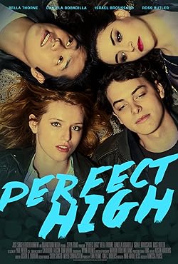 Poster of Perfect High