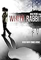 White Rabbit's primary photo