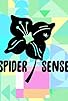 Primary photo for Spider Sense