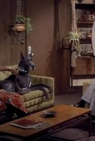 Primary photo for Blues for Mr. Borden