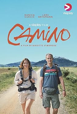 Poster of Camino