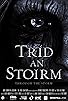 Primary photo for Through the Storm