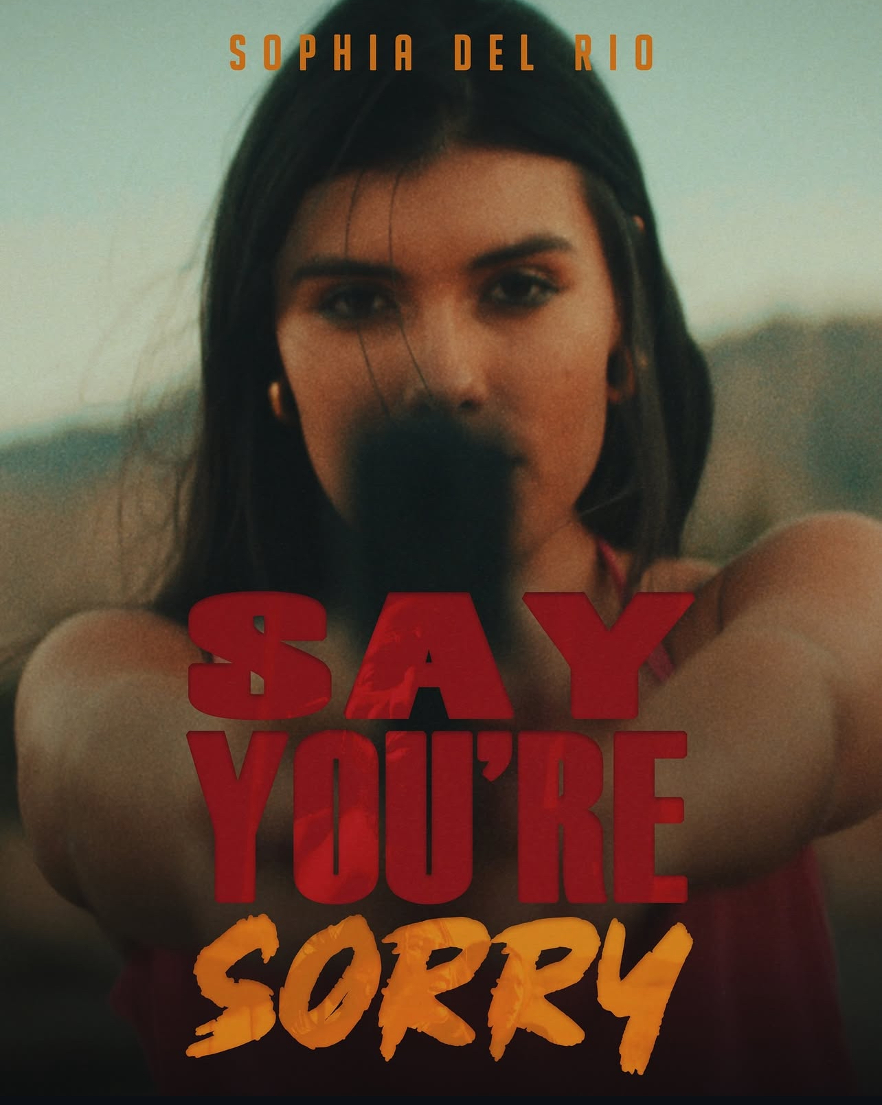 Say You're Sorry