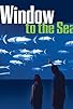 Primary photo for Window to the Sea Primary photo for Window to the Sea