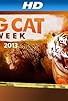Primary photo for Big Cat Week Primary photo for Big Cat Week
