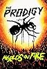 Primary photo for The Prodigy: World's on Fire