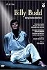 Primary photo for Billy Budd Primary photo for Billy Budd
