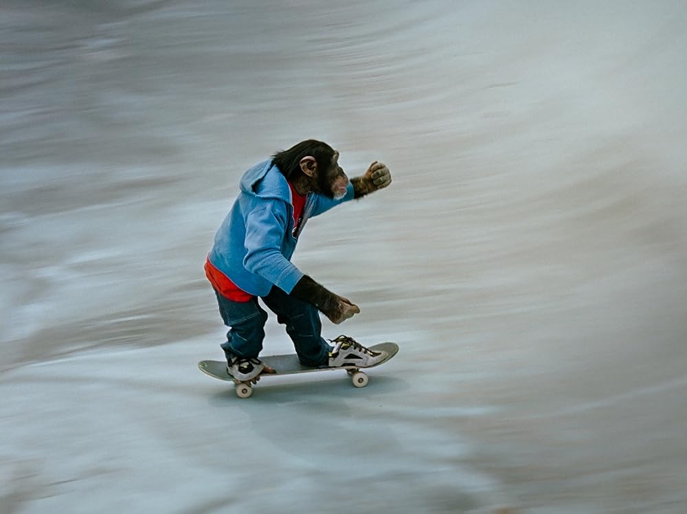 MVP 2 Most Vertical Primate (2001)