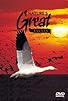 Primary photo for Nature's Great Events: Great Journeys Primary photo for Nature's Great Events: Great Journeys