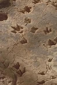 Primary photo for Monsters on the Move Primary photo for Monsters on the Move