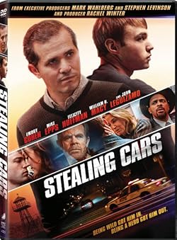 Poster of Stealing Cars