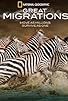 Primary photo for Great Migrations Primary photo for Great Migrations