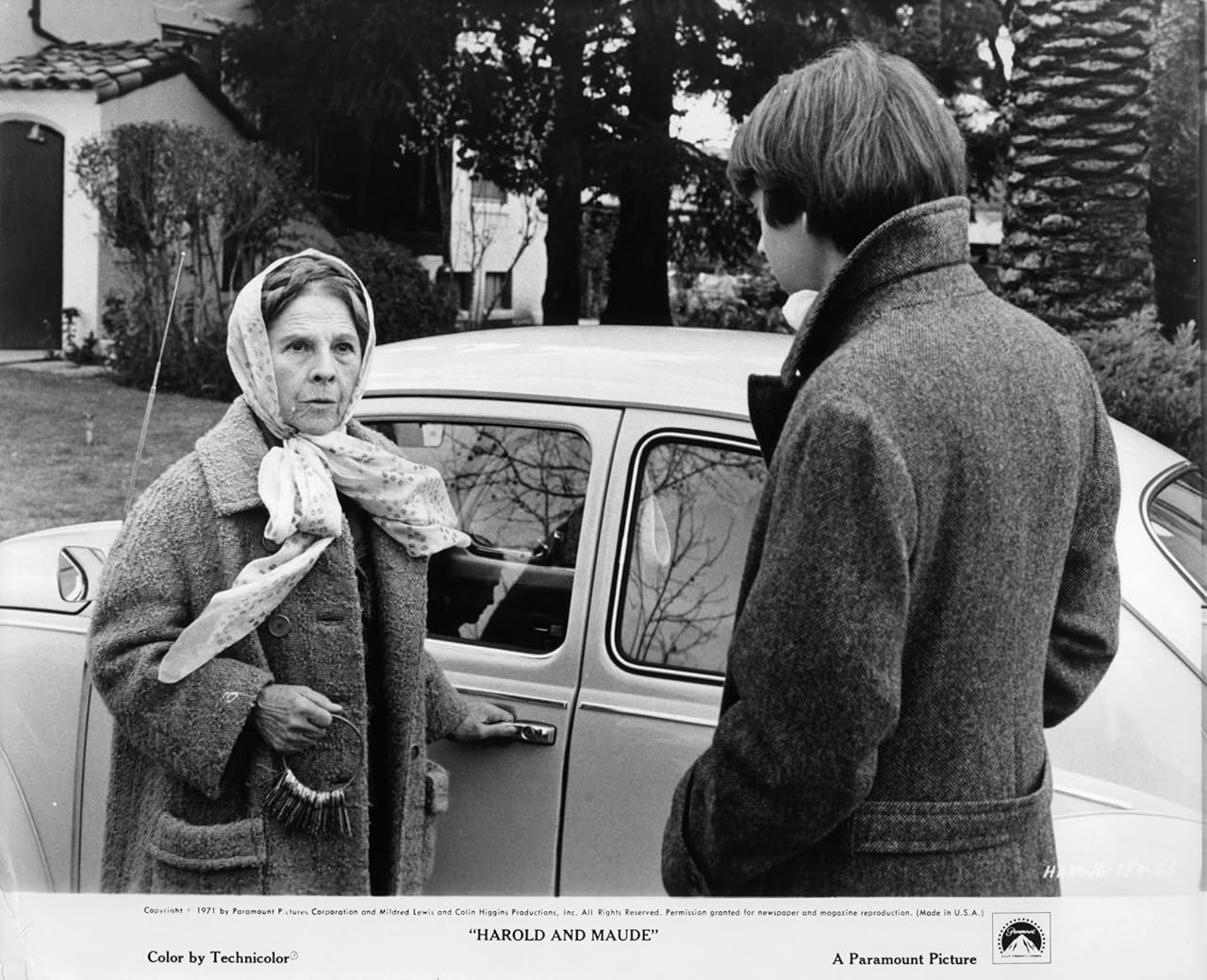 Harold and Maude (1971) Harold and Maude (1971)