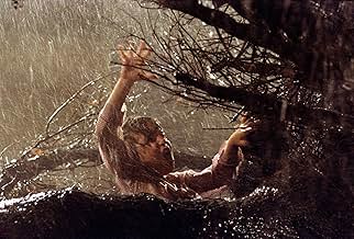 पोस्टर देखें