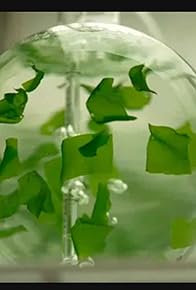 Primary photo for Episode #33.34