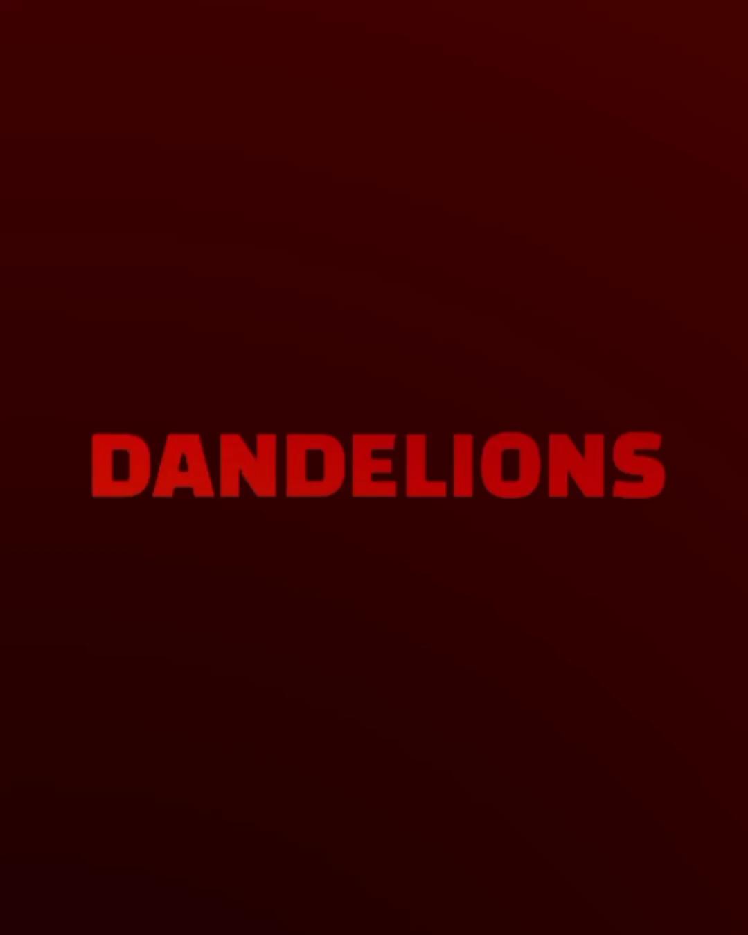 Dandelions