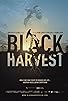 Primary photo for Black Harvest Primary photo for Black Harvest