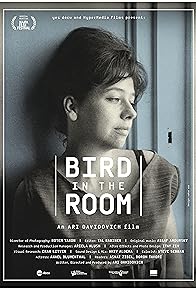 Primary photo for Bird in the Room