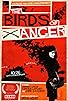 Primary photo for The Birds of Anger