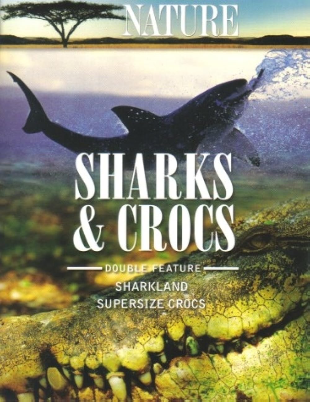 その他 Nature: Reptiles [DVD] 51NK4TuHSIL._UF350,350_QL50_.jpg