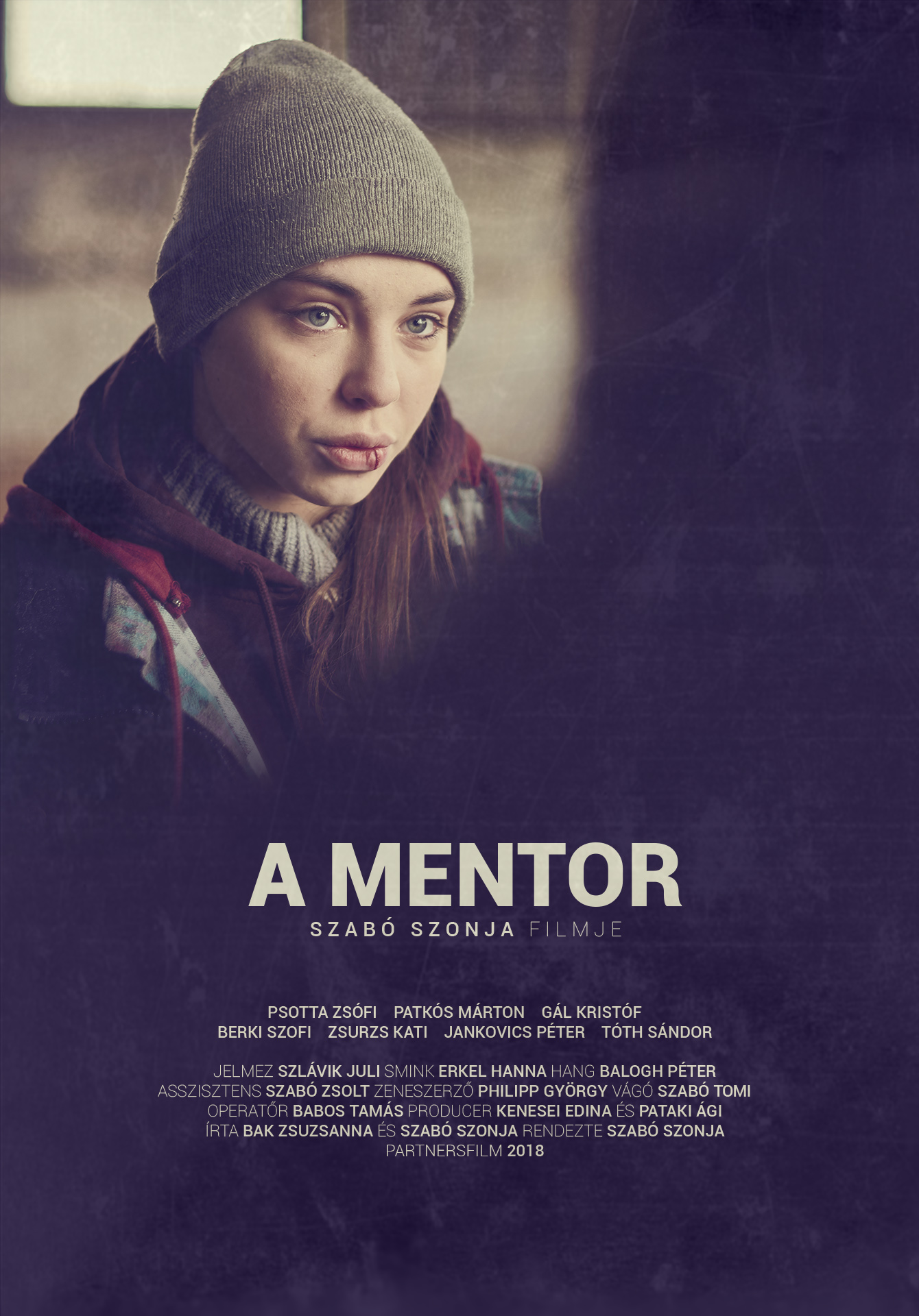 Poster of The Mentor