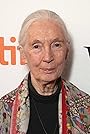 Jane Goodall's primary photo Jane Goodall's primary photo