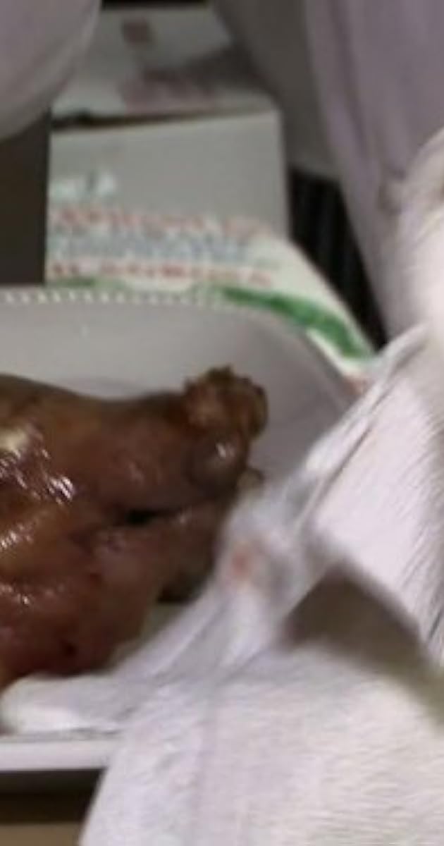 Bizarre Foods With Andrew Zimmern Los Angeles Tv Episode 2008 Ani Phyo As Self Imdb