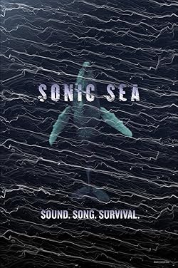 Poster of Sonic Sea