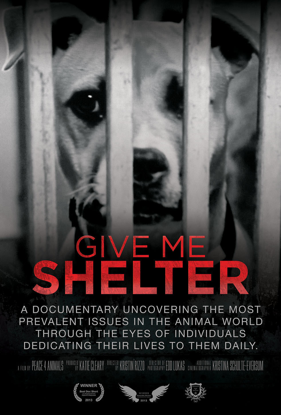 Give Me Shelter (2014)