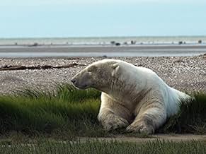 पोस्टर देखें