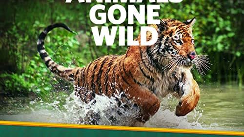 その他 Nature: Animals Gone Wild [DVD] Amazon.com: Animals Gone Wild Season 3 : Josh Goodman, Julie